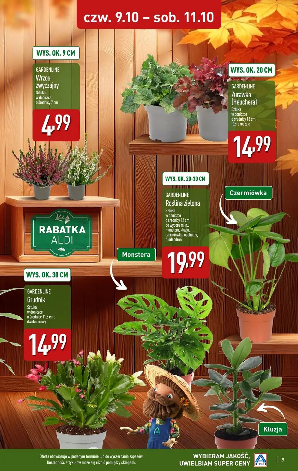 gazetka promocyjna ALDI Świeżość i super ceny - Strona 9