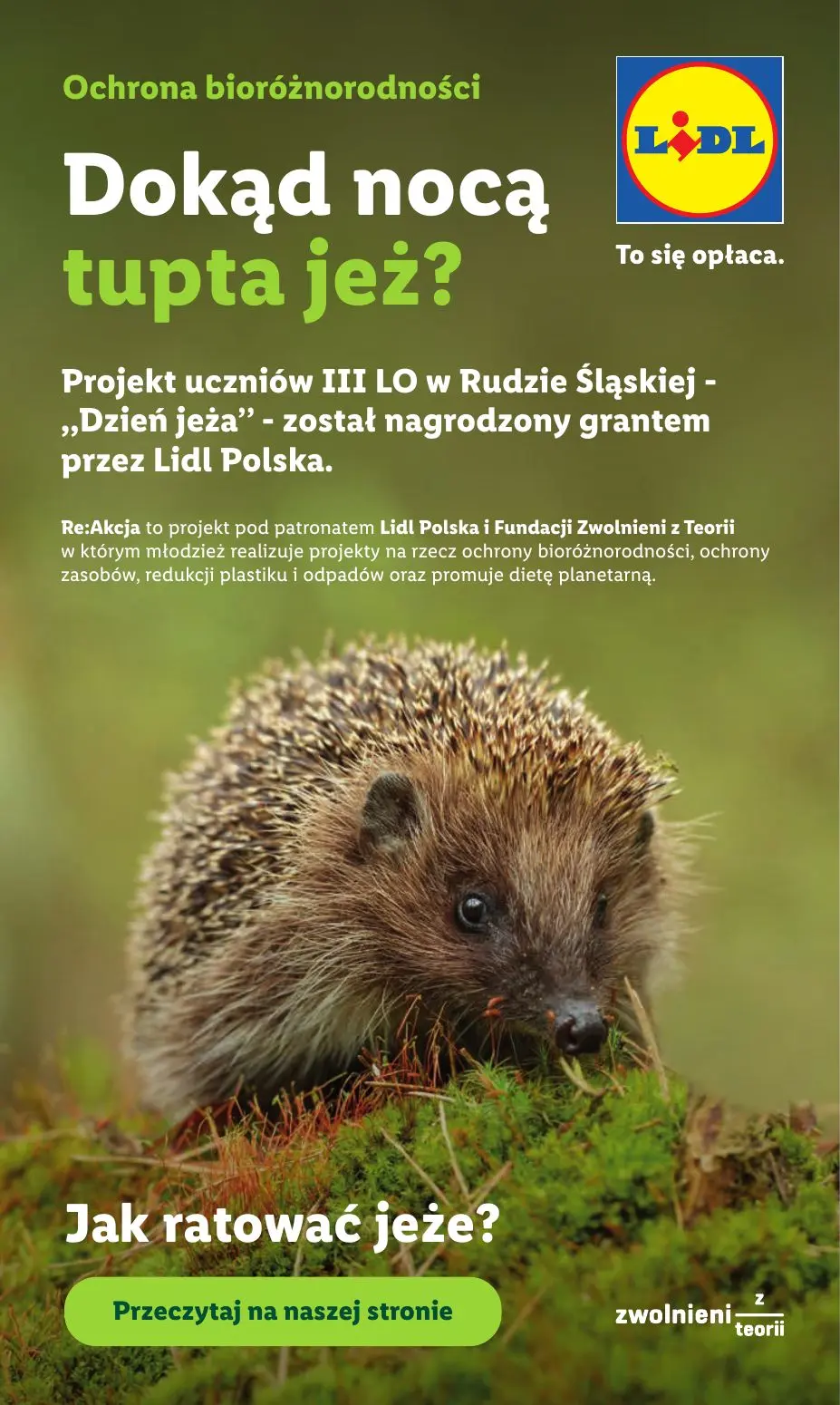 gazetka promocyjna LIDL Od poniedziałku - Strona 101