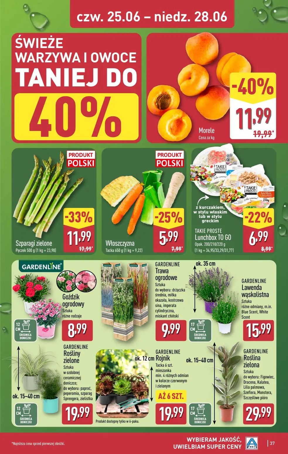 gazetka promocyjna ALDI  - Strona 37