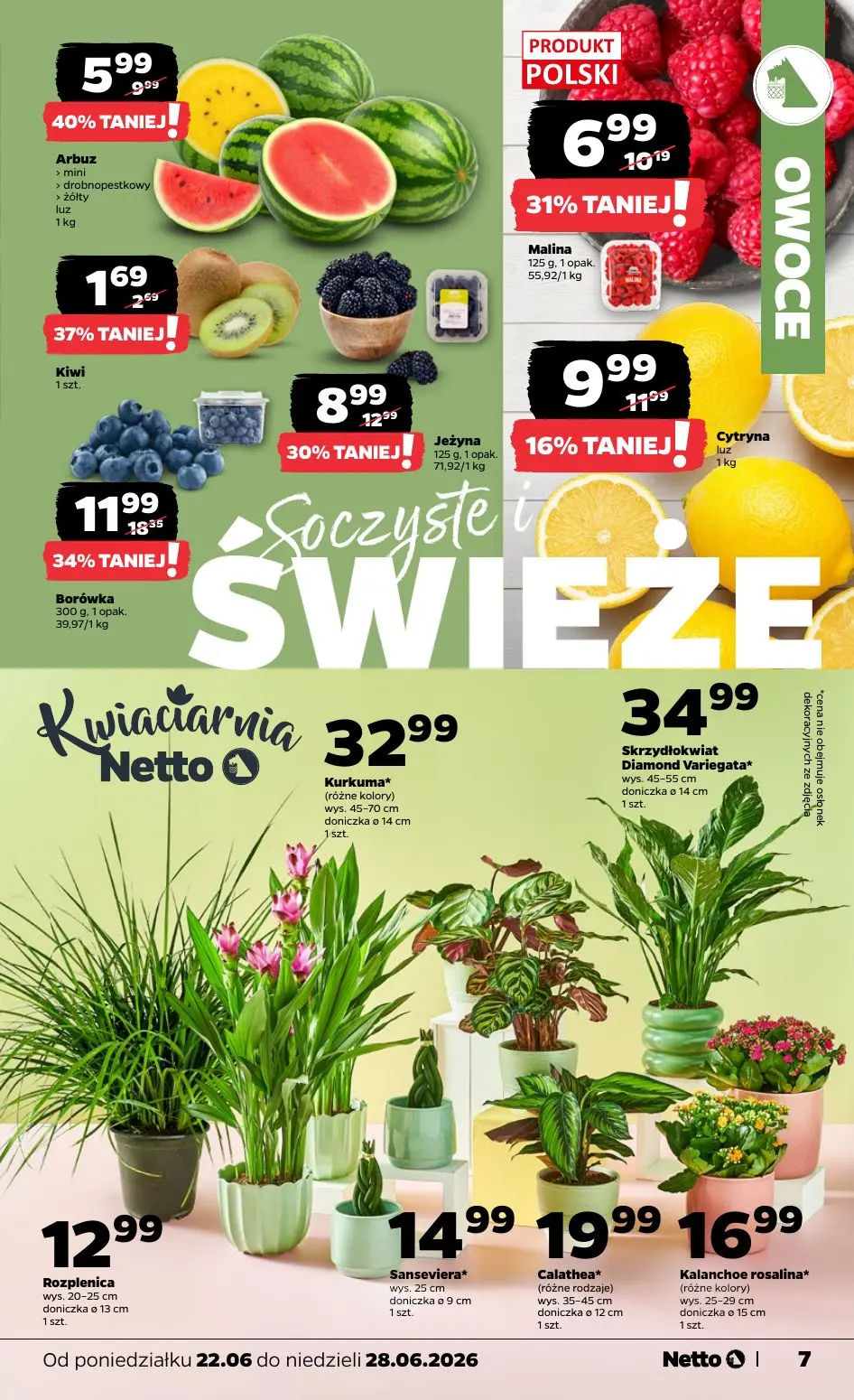 gazetka promocyjna NETTO  - Strona 7