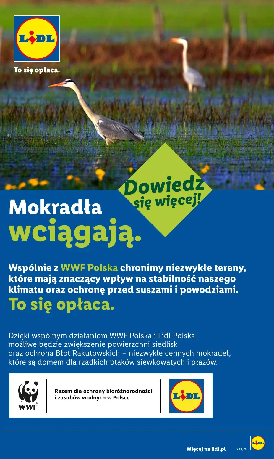 gazetka promocyjna LIDL Od czwartku - Strona 89
