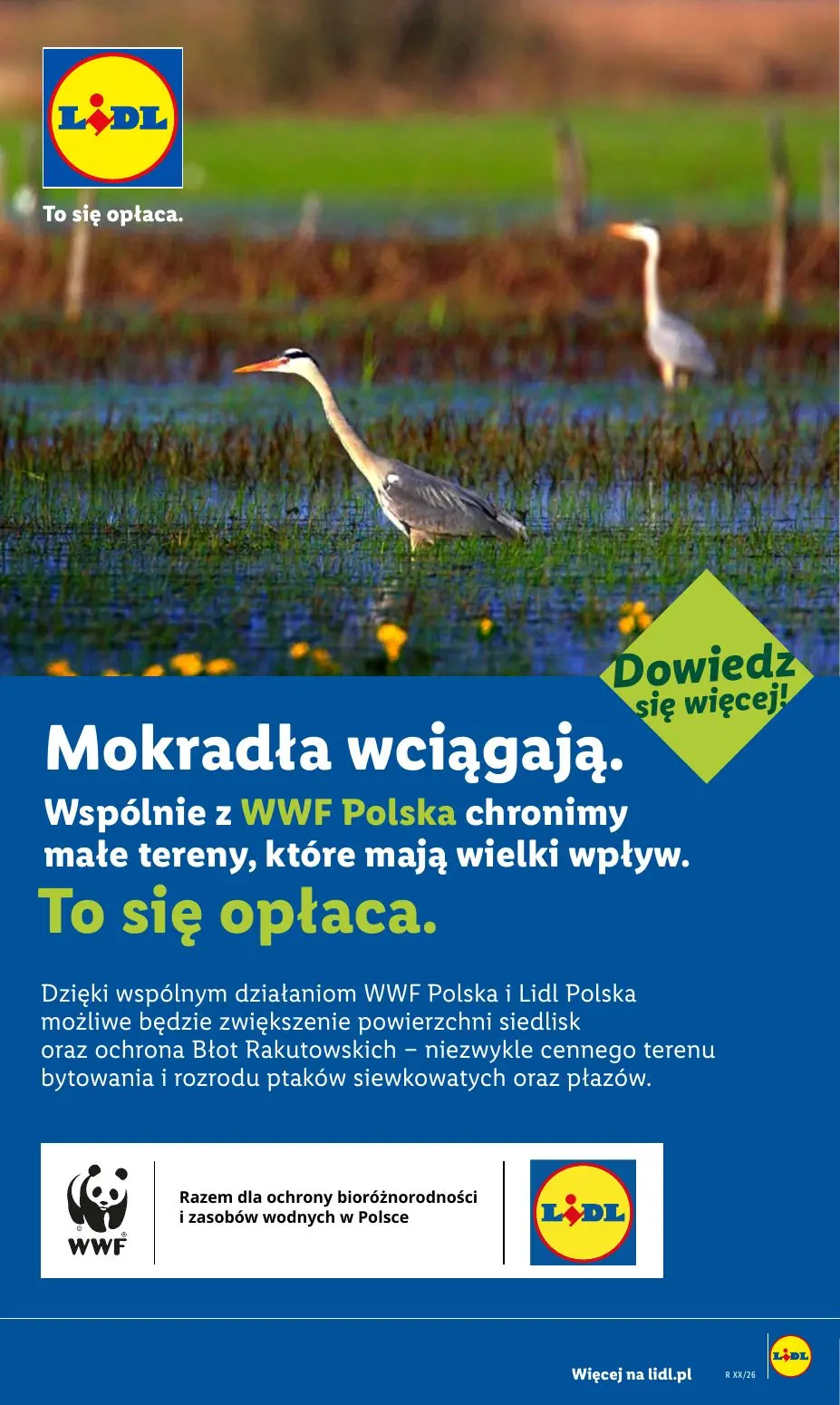 gazetka promocyjna LIDL Od poniedziałku - Strona 60