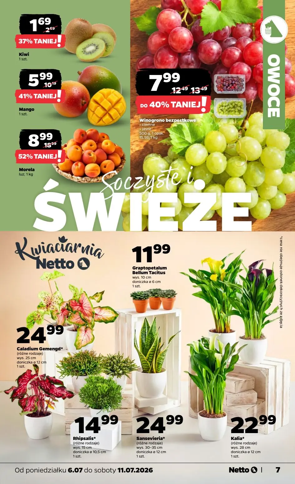 gazetka promocyjna NETTO Gazetka spożywcza - Strona 7