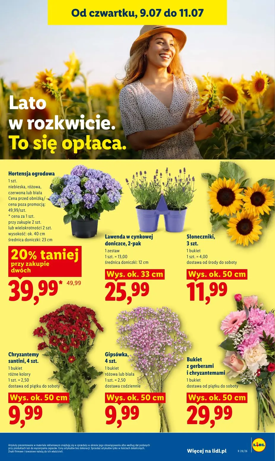 gazetka promocyjna LIDL Od czwartku - Strona 85