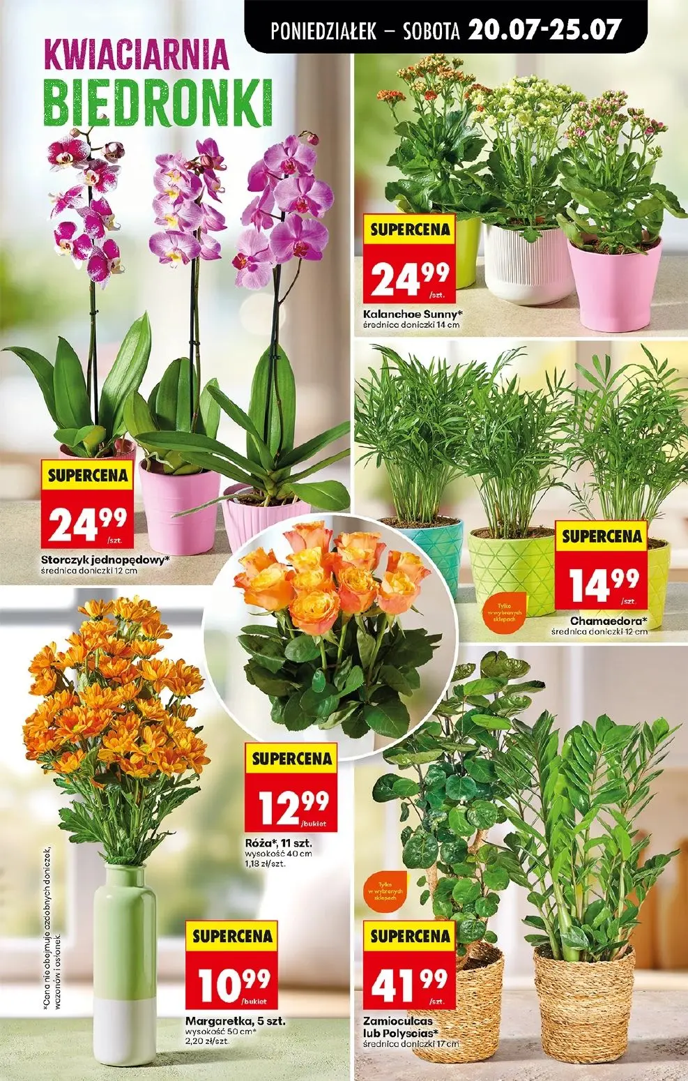 gazetka promocyjna Biedronka Od poniedziałku - Strona 85