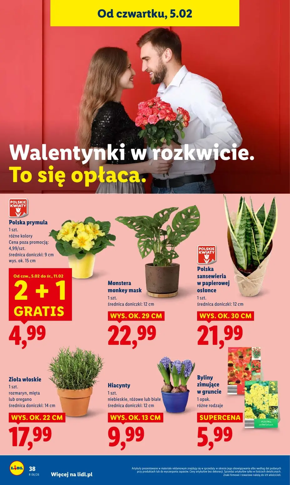 gazetka promocyjna LIDL  - Strona 42