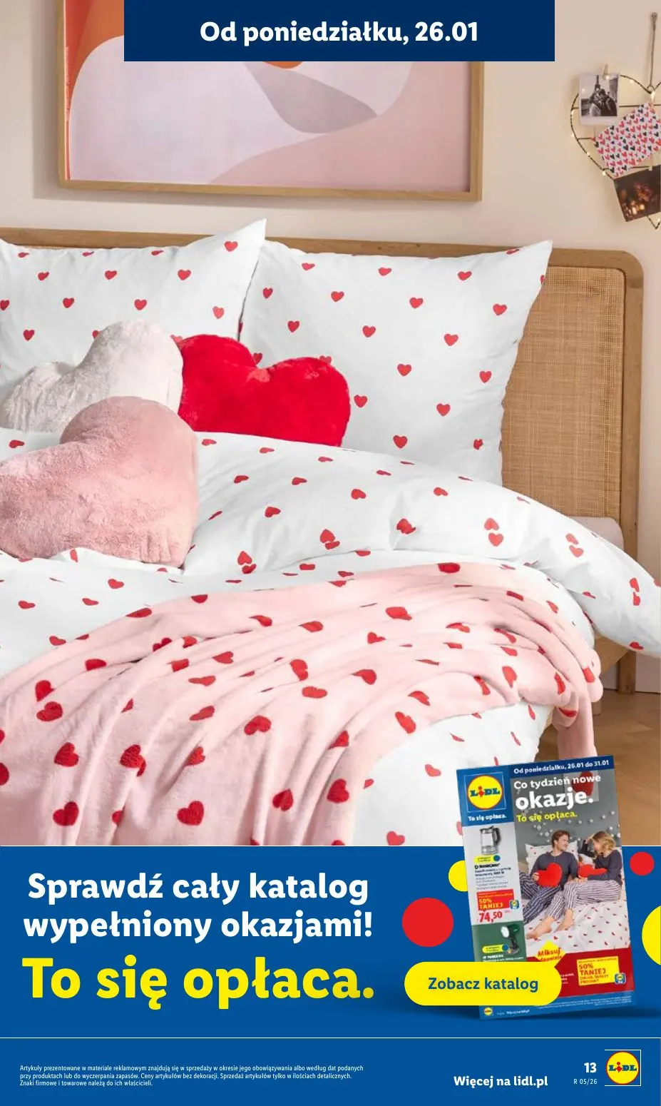 gazetka promocyjna LIDL  - Strona 19