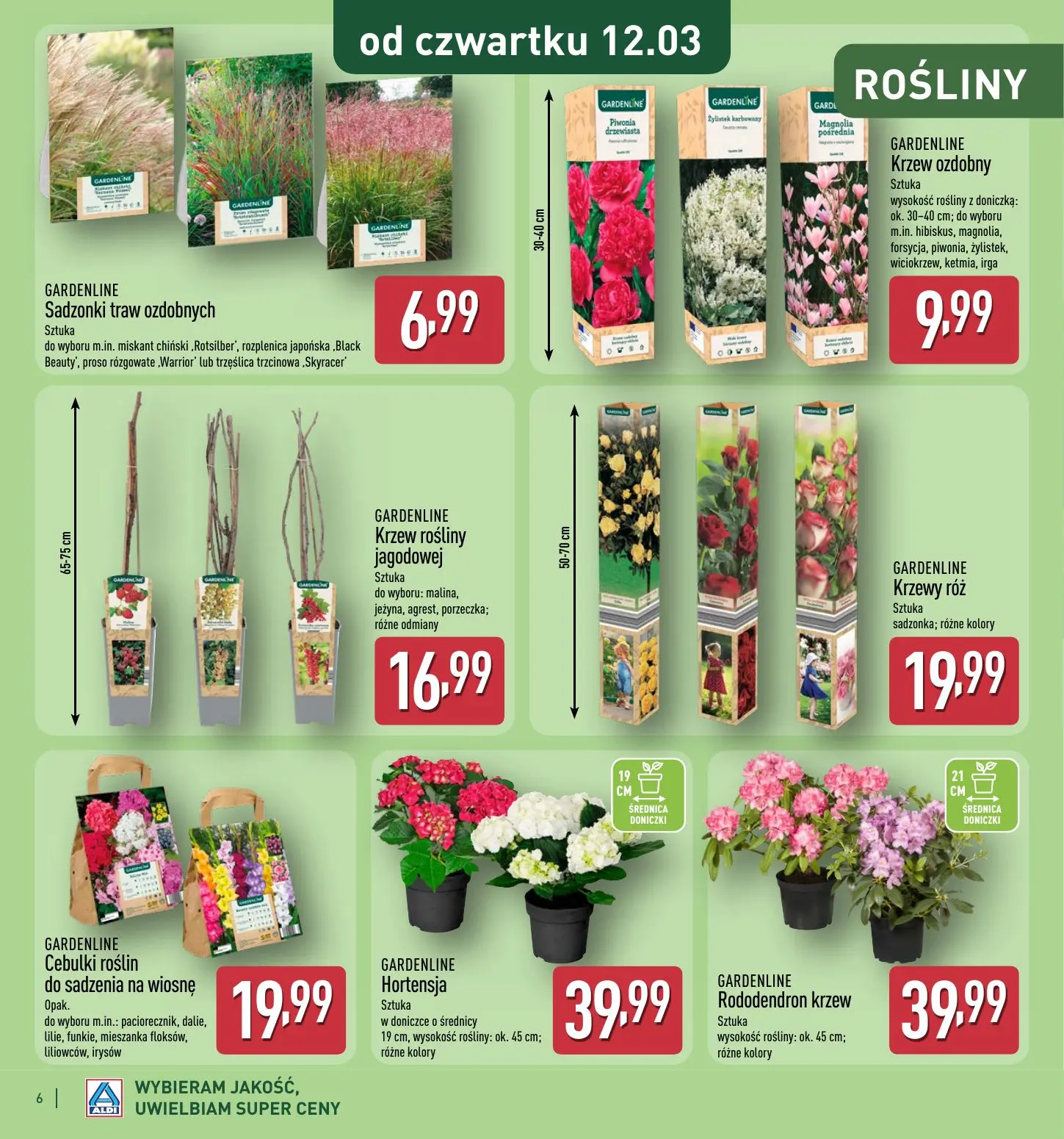 gazetka promocyjna ALDI  - Strona 6