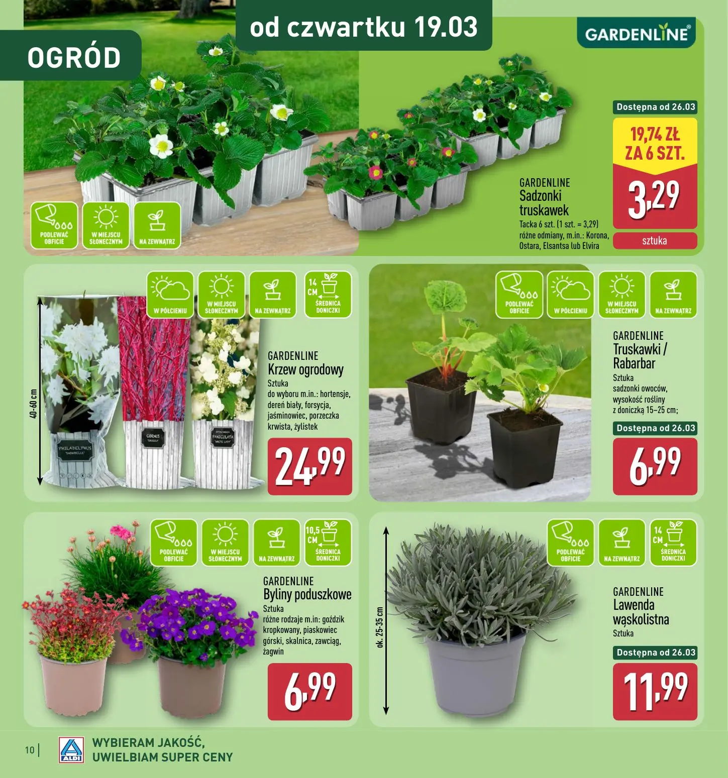 gazetka promocyjna ALDI  - Strona 10