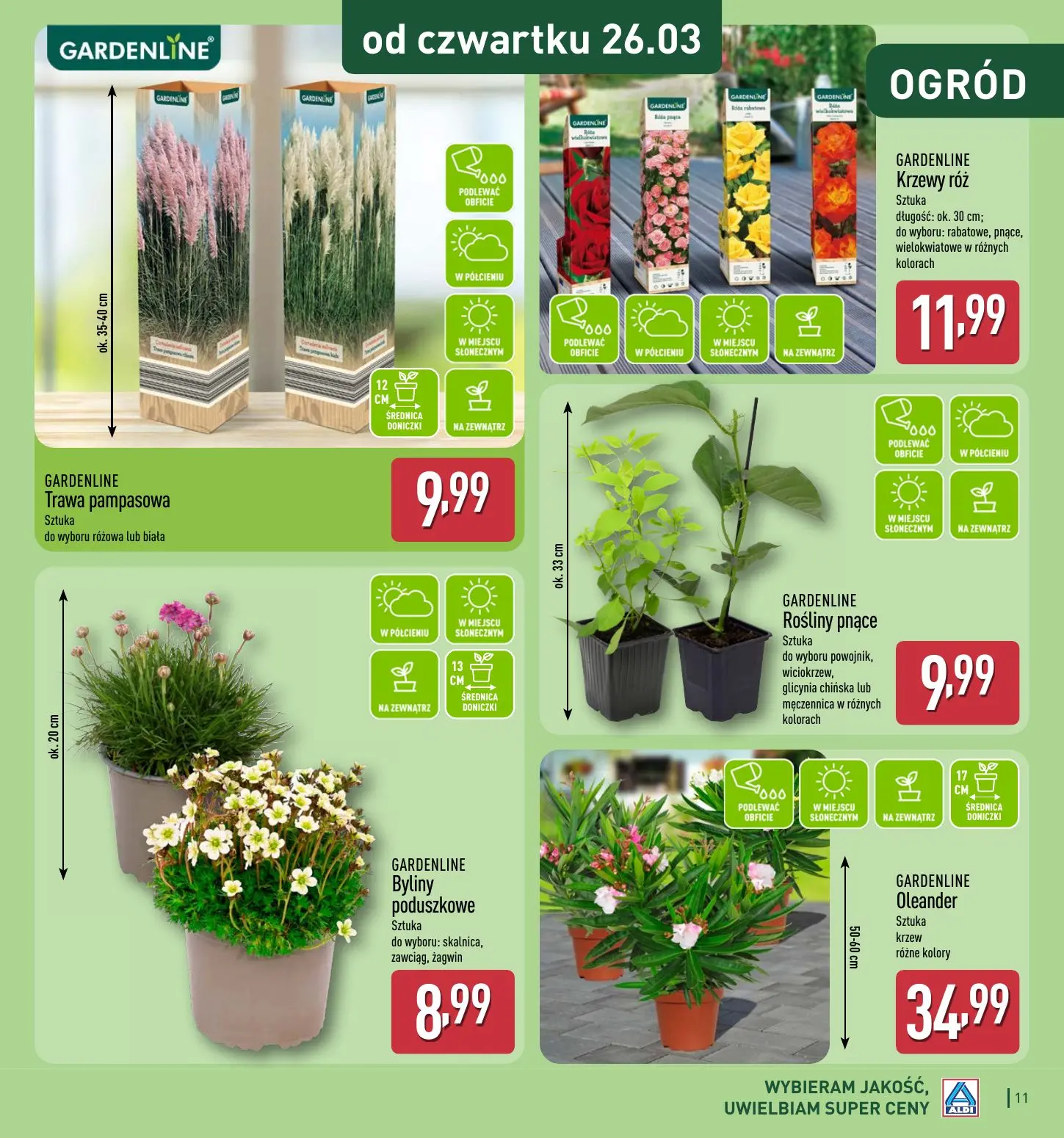 gazetka promocyjna ALDI  - Strona 11