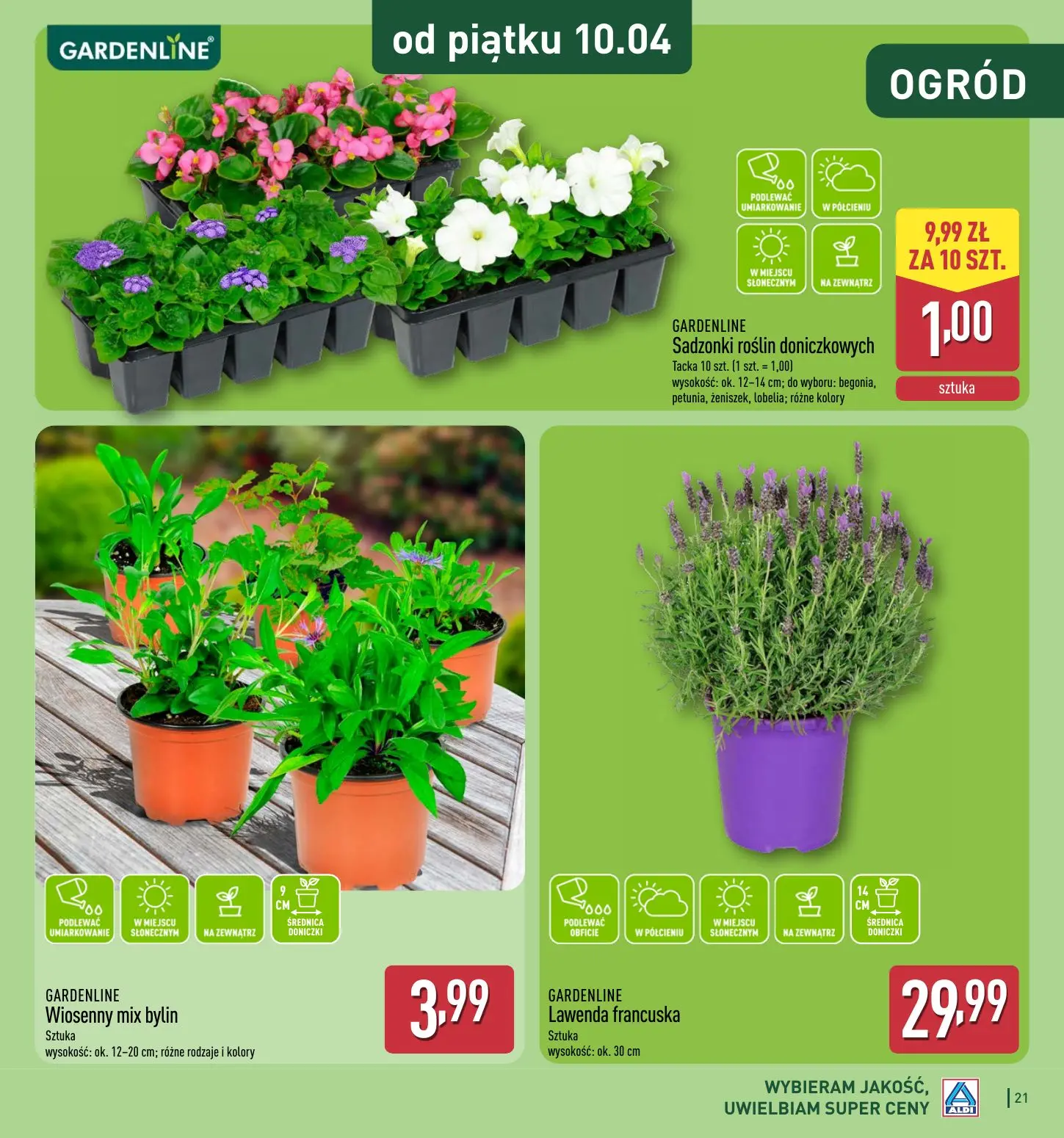 gazetka promocyjna ALDI  - Strona 21