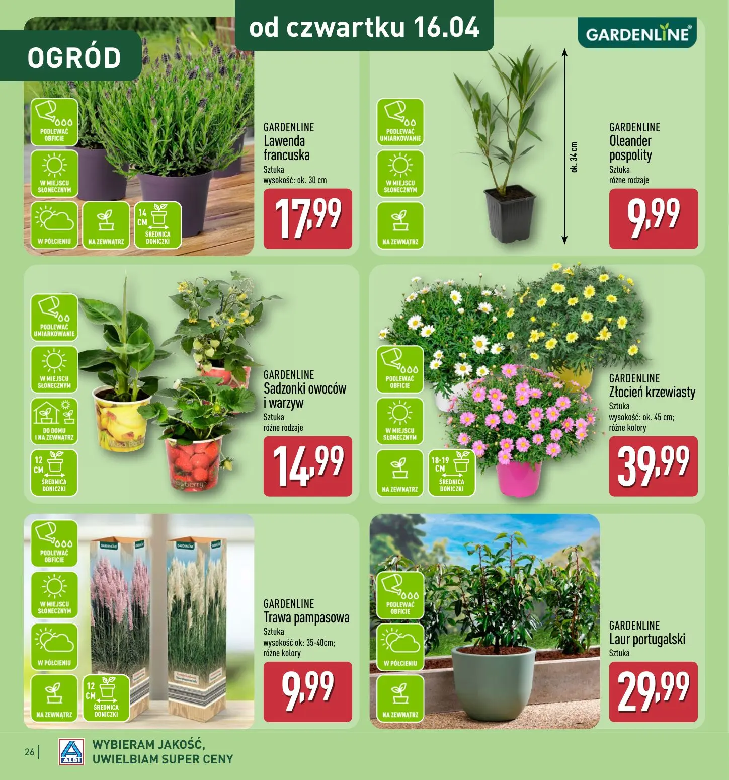 gazetka promocyjna ALDI  - Strona 26